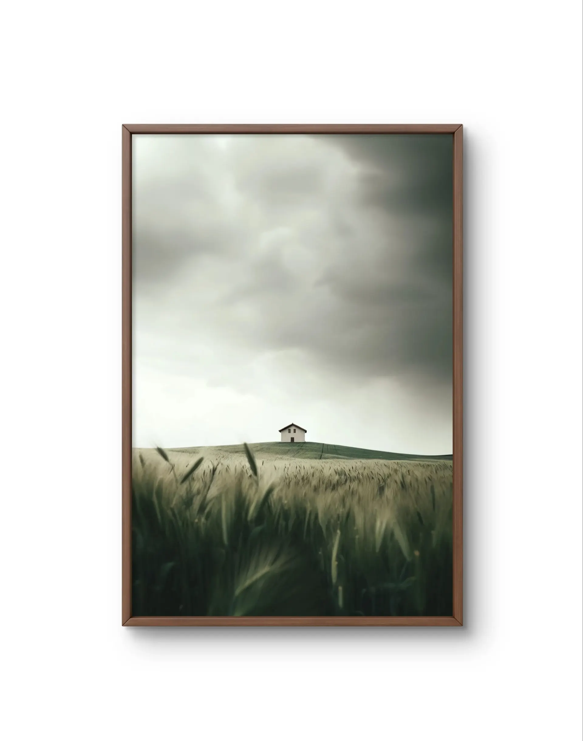 Bellucci - Solitude on the Hill — Photographie fine tirage d'art par Bellucci