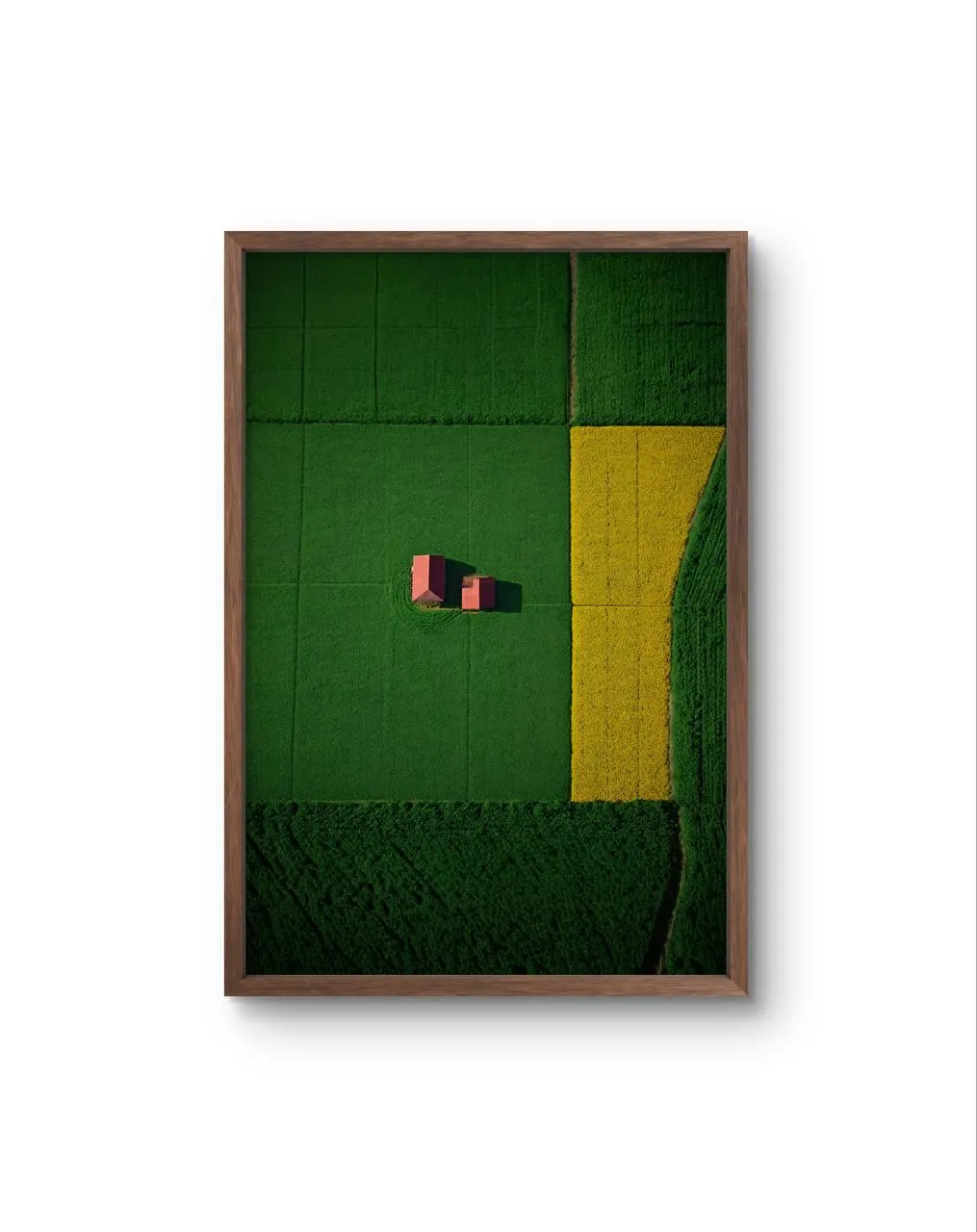 Bellucci - The Red Houses in a Sea of Green — Photographie fine tirage d'art par Bellucci