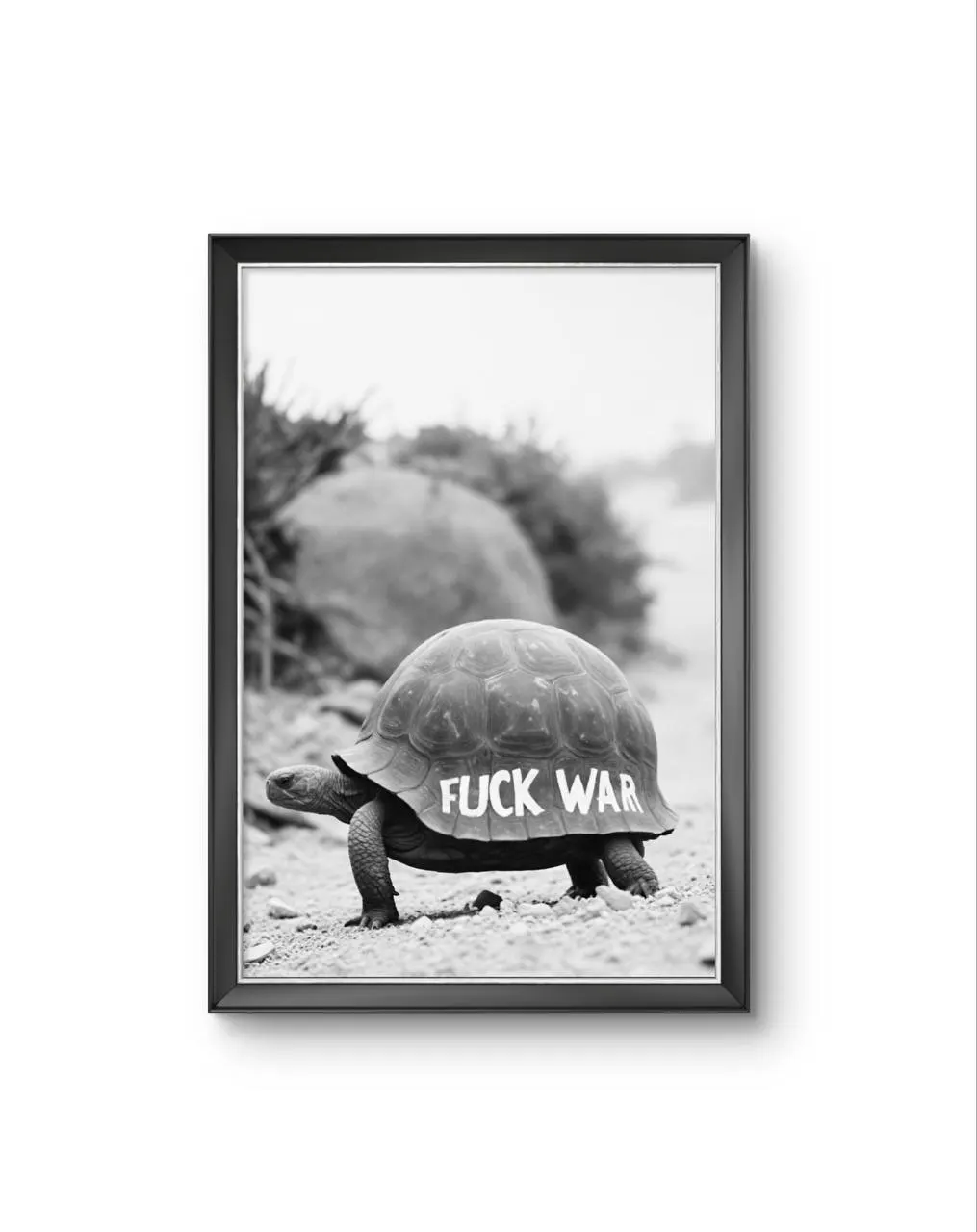 Bonaque - A Statement on the Shell — Photographie fine tirage d'art par Bonaque