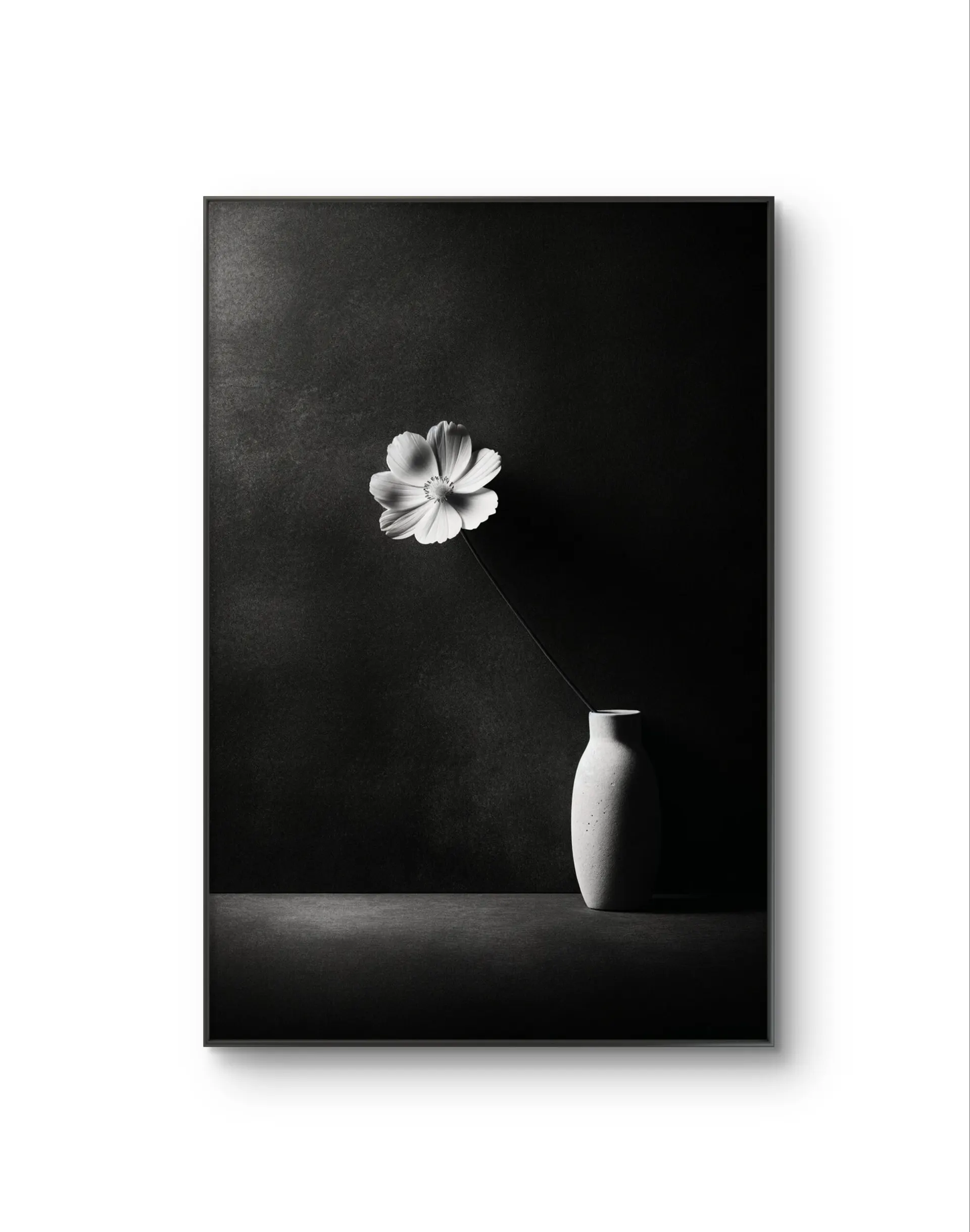 Bonaque - Elegance in Simplicity — Photographie fine tirage d'art par Bonaque