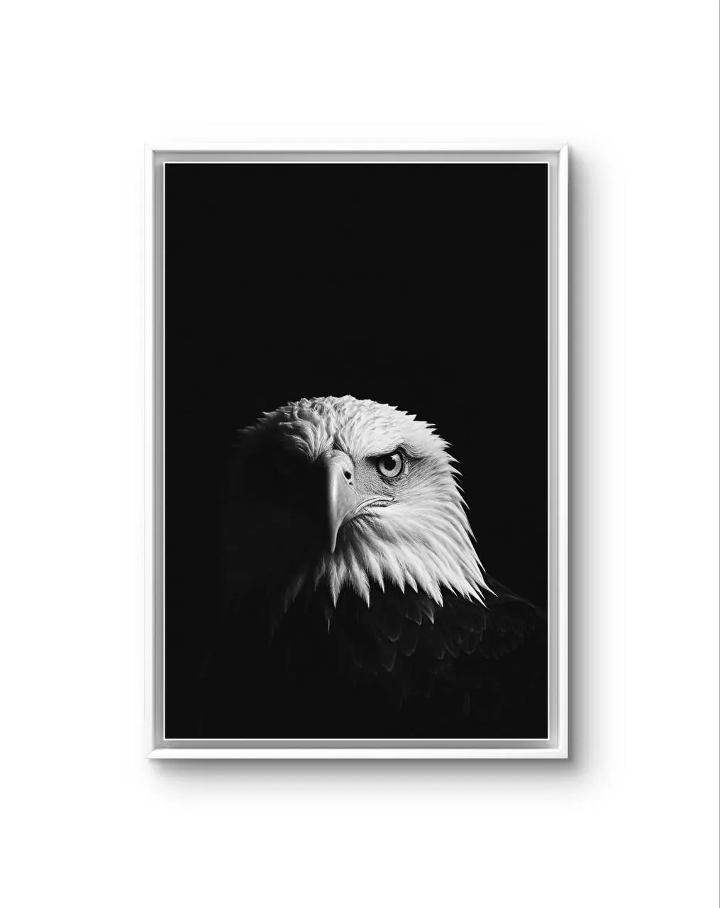 Bonaque - Majestic Sentinel — Photographie fine tirage d'art par Bonaque