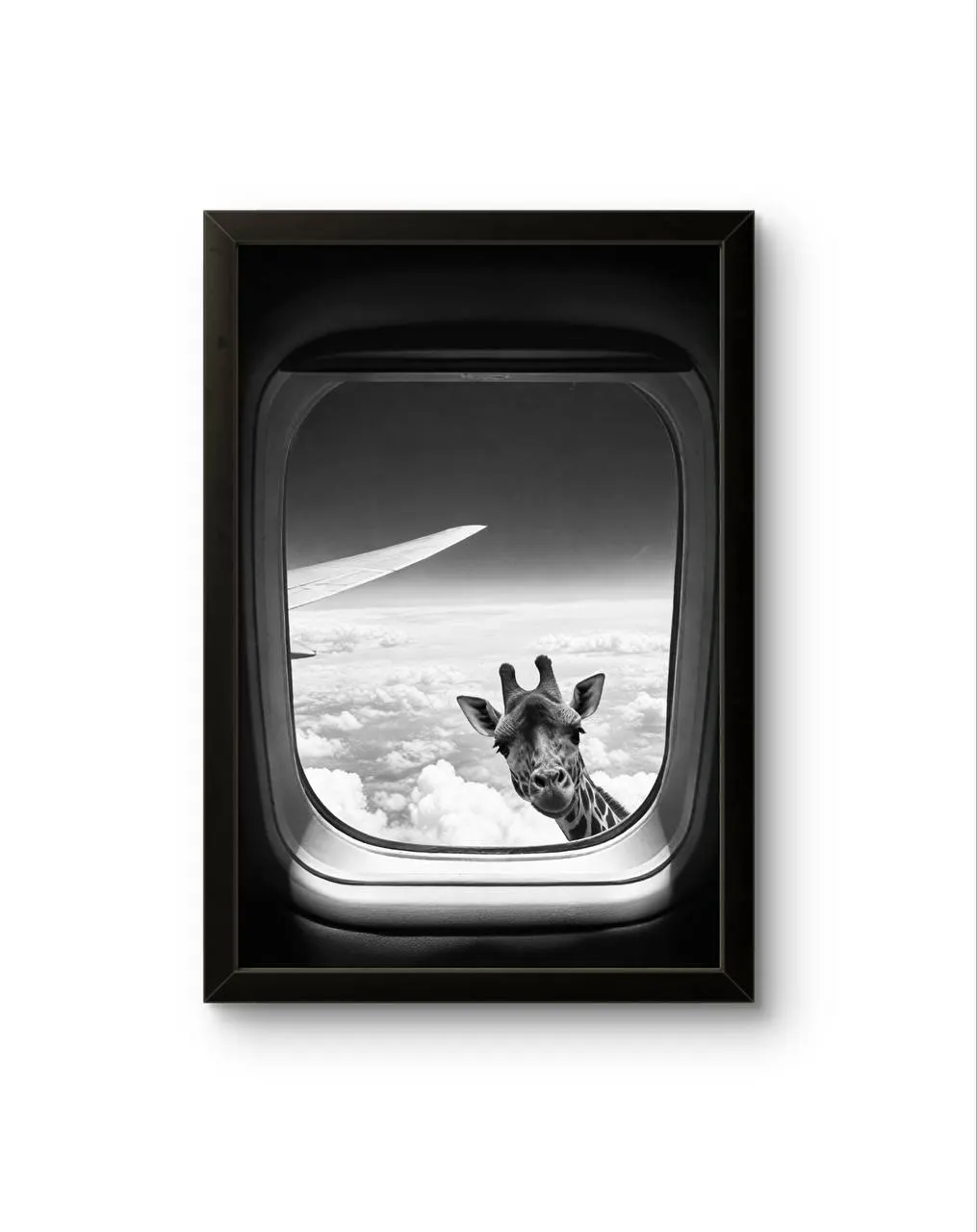 Bonaque - Skybound Curiosity — Photographie fine tirage d'art par Bonaque