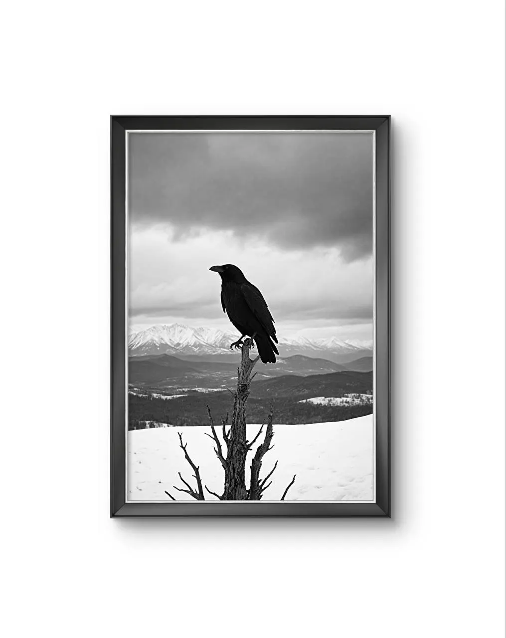Bonaque - The Watchful Raven — Photographie fine tirage d'art par Bonaque
