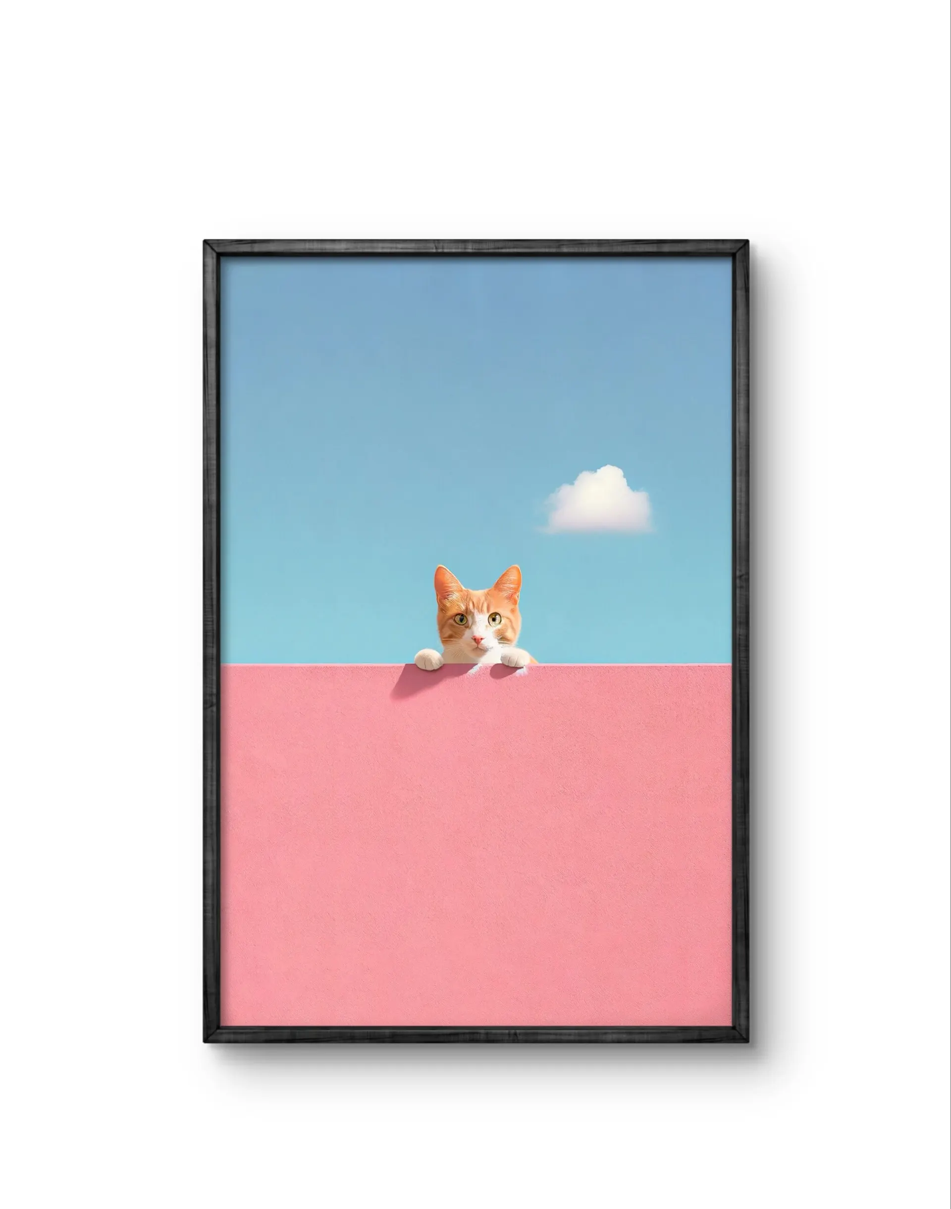 Lumivista - Curious Whiskers — Photographie fine tirage d'art par Lumivista