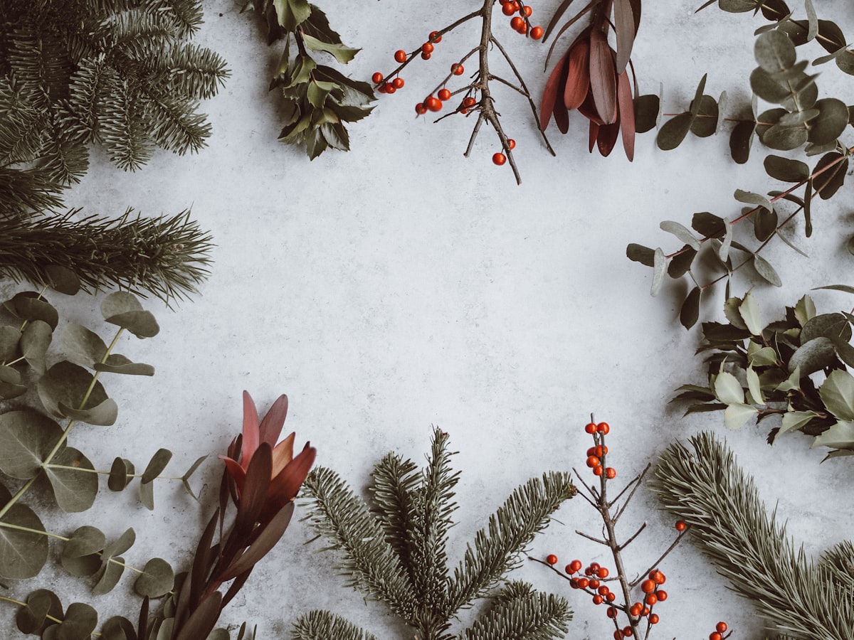 Cadeaux d’art de Noël